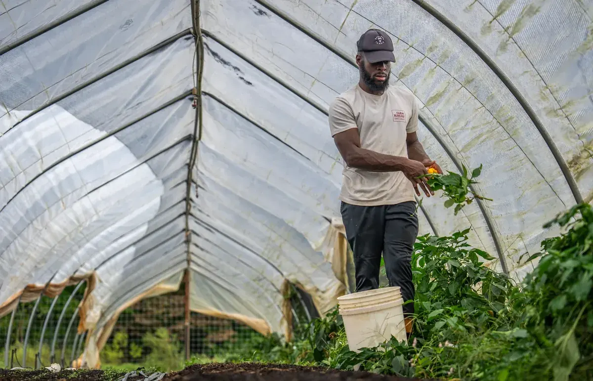 Skill, entrepreneurship and practical enterprise learning