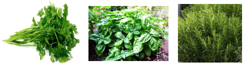 exotic-vegetables