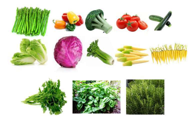  Certificate in Exotic Vegetables & Aromatics Course in Chennai, Tamilnadu